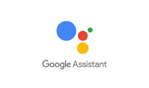 Impressive Casting Actors Voice Over Google Assist Logo