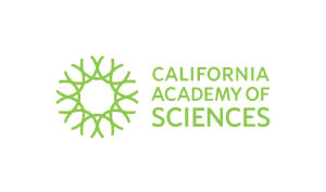 Impressive Casting Actors Voice Over Models California Logo